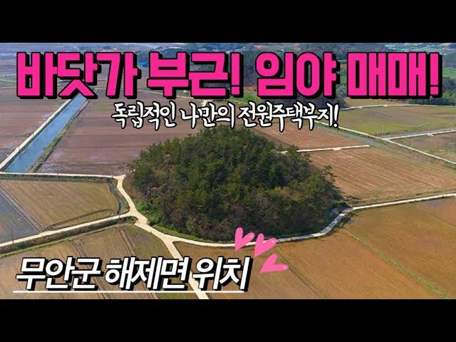 [전남임야매매] 매물번호#342 3,171평 바닷가 부근 임야 매매 ! 무안군 해제면 산길리 임야 시골땅 촌땅 토지 매매