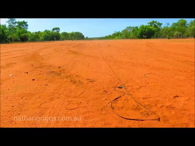 Nathan Whippy Griggs -Longest Whip in the World -OFFICIAL