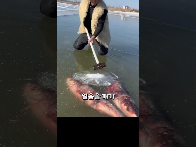 이 얼음 아래, 누가 이런 걸 꺼냈을까요?