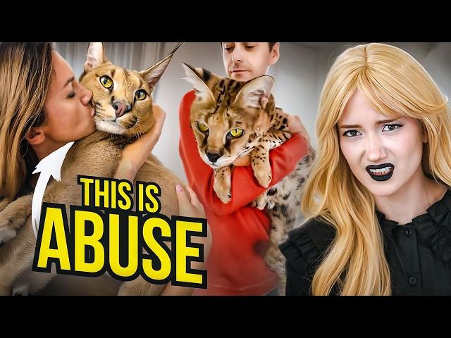TikTok’s Exotic Cat PROBLEM