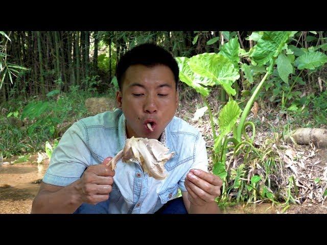 Huanong Brothers: This brother's chicken seem to be lamed.