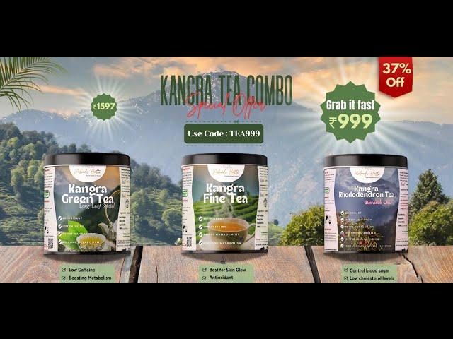 Kangra Tea