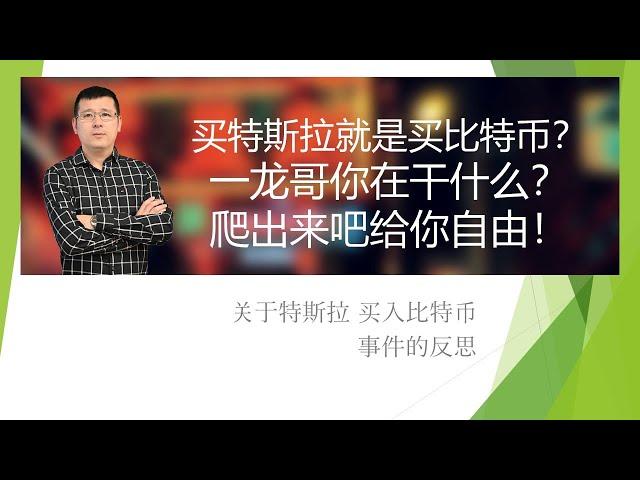 买特斯拉就是买比特币？一龙哥你在干嘛？爬出来吧给你自由。