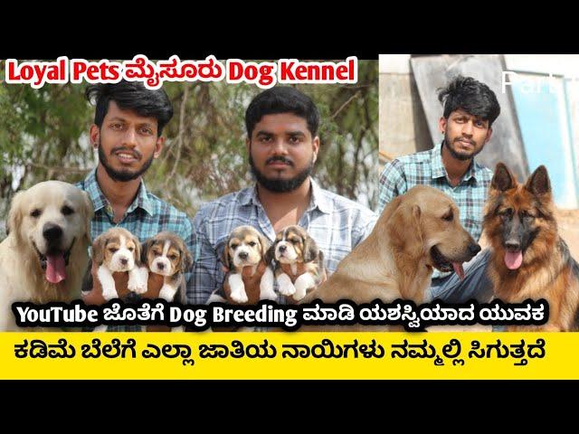 YouTube ಜೊತೆಗೆ Dog Breeding ಮಾಡಿ ಯಶಸ್ವಿಯಾದ ಯುವಕ | Loyal Pets Mysore Dog Kennel |