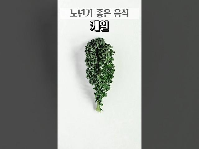 노년기 좋은 음식 케일     #건강 #식품 #건강정보 #건강식단 #건강음식 #건강식품 #건강기능식품 #노년기