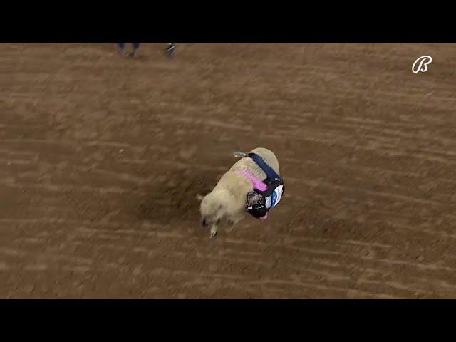 Mutton Bustin' 3.04.2022 | RODEOHOUSTON