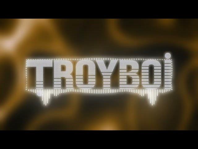 TroyBoi - Petrunko (Official Visualizer)