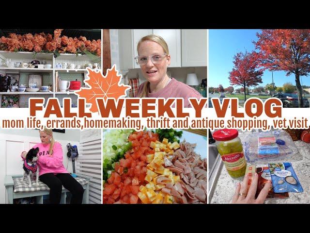 FALL WEEKLY VLOG / MOM LIFE, ERRANDS, HOMEMAKING MOTIVATION, THRIFT AND ANTIQUE SHOPPING, VET VISIT