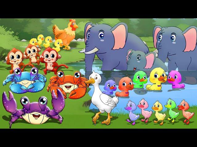 เพลงเด็กอนุบาล เพลงปู เมฆ ช้าง เต่า ปู ลิง ไก่ แปรงฟัน แมงมุม | เพลงสัตว์ | Mr frog Kids Songs