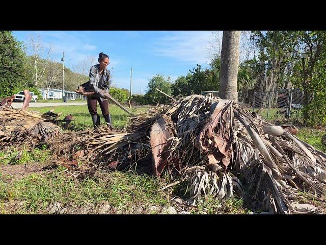 Spring 2025 Yard & Garden Clean up: Clearing Palm Branches,  Weeds, and Planting Chinese Celery