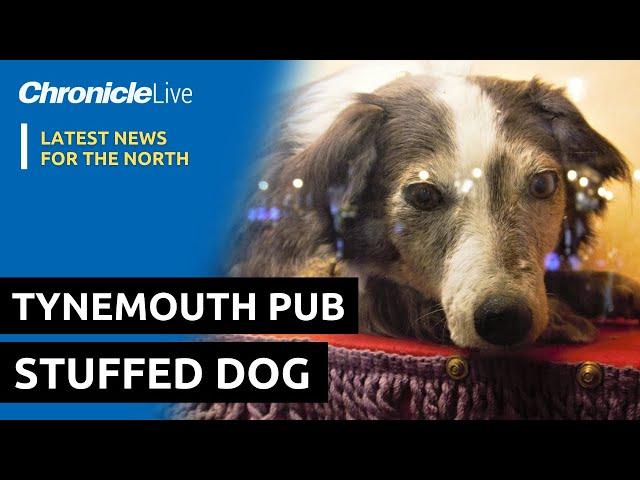 The story behind Tynemouth pub's famous stuffed dog