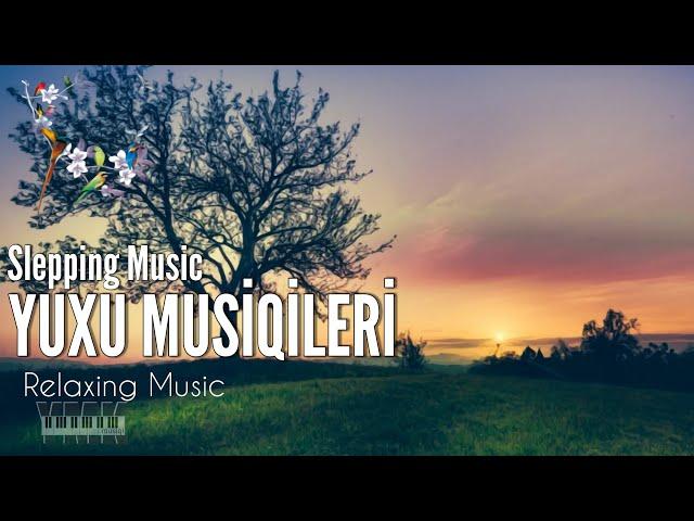 Relaxing Sleep Music Deep Sleeping Music - New 2020 (YMK Musiqi #179)