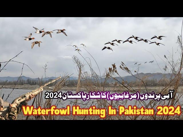 Waterfowl Hunting | Duck Hunting 2024 Pakistan | Bird Hunting | Murghabi Ka Shikar