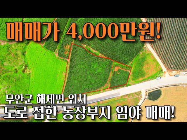 [전남임야매매] 매물번호#207 주말농장부지 임야 매매 ! 무안군 해제면 신정리 시골땅 촌땅 토지 매매