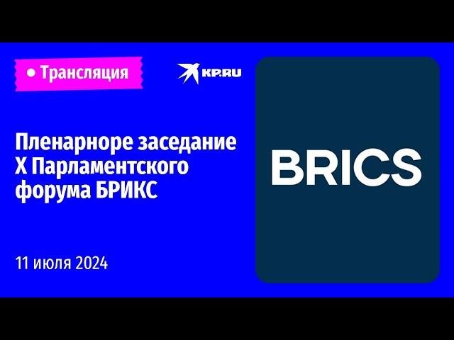 X Парламентский форум БРИКС в Санкт-Петербурге: прямая трансляция