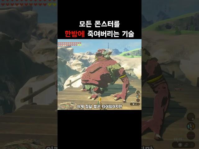 [젤다 왕눈] 일격으로 모든 몬스터를 죽일 수 있는 글리치 (1.2.1 가능)