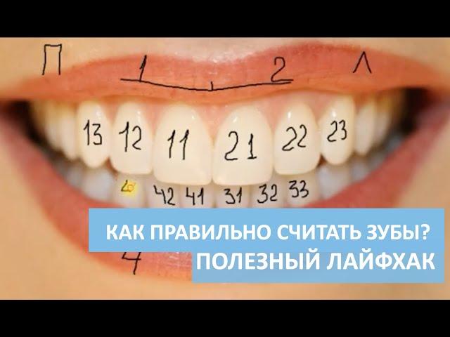 Урок 4.  Как ПРАВИЛЬНО считать зубы? Полезный лайфхак от стоматолога для каждого человека