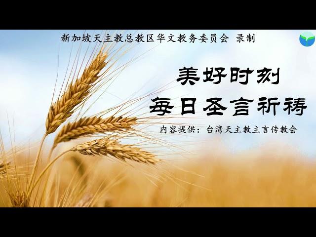 《美好时刻 - 每日圣言祈祷》2024年11月7日 (点击caption来观看字幕)