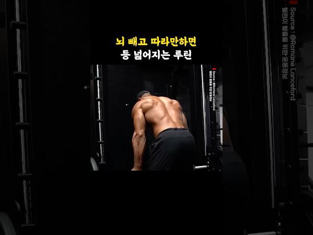 뇌 빼고 따라만하면 등 넓어지는 루틴