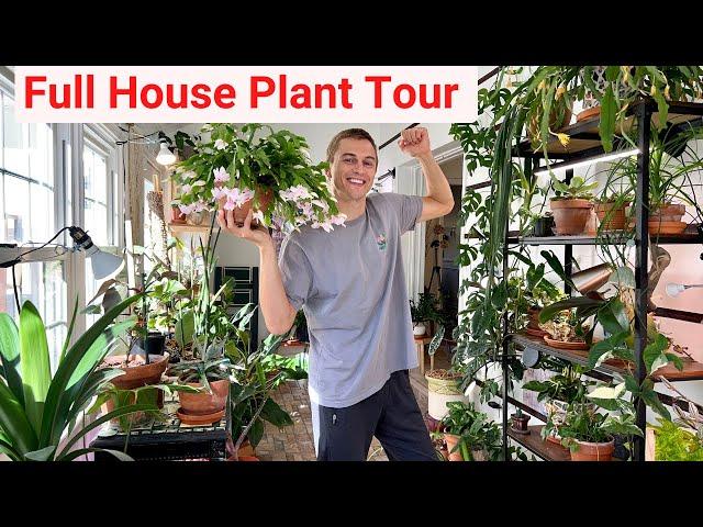 House Plant Tour - Over 100 Different Plants in my Home - 2023