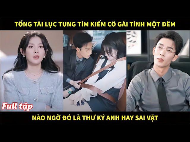 Tổng tài lục tung thành phố tìm cô gái tình một đêm, nào ngờ người đó là cô thư ký anh hay sai vặt