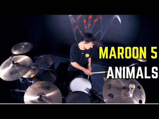 Maroon 5 - Animals | Matt McGuire Drum Cover