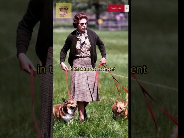 Close Call at Buckingham Palace: Queen Elizabeth's Unforgettable Encounter with Palace Guard!