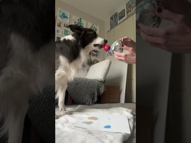 Dog paints wine glasses!