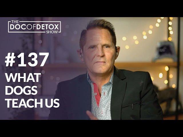 What Dogs Teach Us With Dr. Marlene Siegel