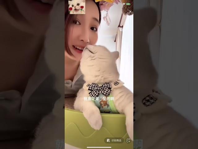 今天的老芬是个乖宝宝喵喵 #cat #芬儿头是猫不是猪 #芬儿头是猫不是猪 #cute #萌宠 #萌宠 #pets #宠物猫 #宠物猫 #funny #cutecat #搞笑 #搞笑 #宠物