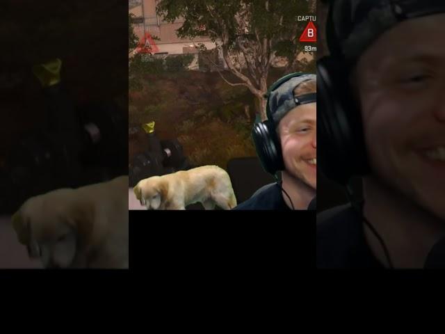 When your dog shows up on the green screen