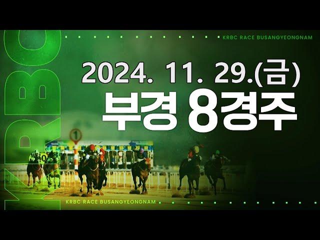 (부산) 2024.11.29 8경주