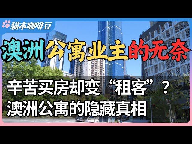 澳洲公寓变无底洞，业主被物业费压榨？房子是你的，决定权却是物业的？物业费与隐藏条款，澳洲公寓业主如何被一步步收割 | 澳洲与新西兰的移民生活深度分享 | 猫本咖啡豆