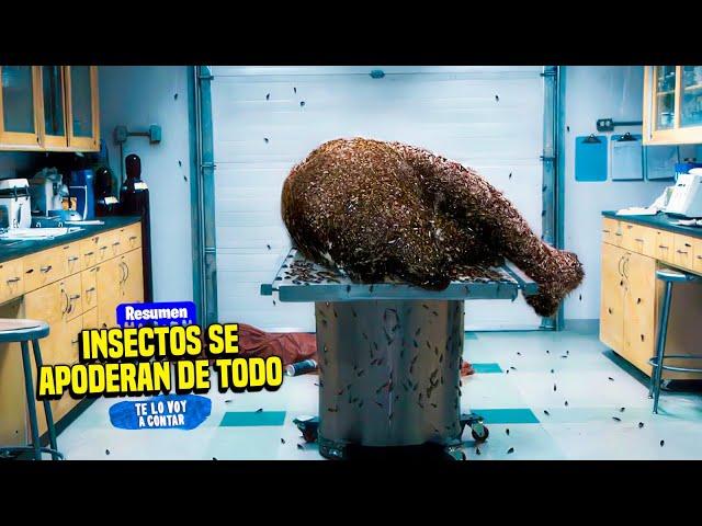  INSECTOS MUY ANTIGUOS DESPIERTAN Y COMIENZAN UNA NUEVA P4NDEM1A | RESUMEN