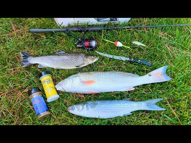 Brown TROUT, Redfish and Mullet Catch, Smoke and Eat!