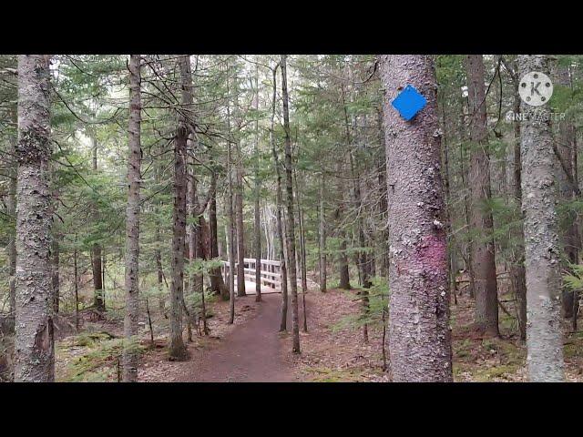 UnEdited Nature Walk for Relaxation. Moncton's Irishtown Nature Park.