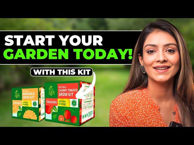 Easy Gardening for Beginners with DIY Treasures Gardening Kit