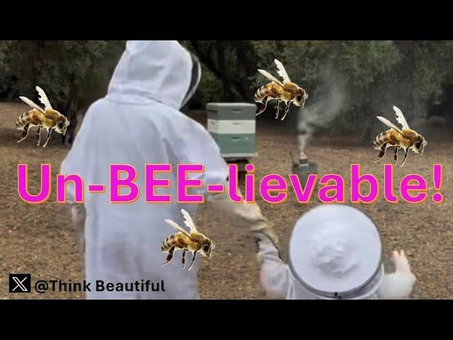 Un-BEE-lievable! Meghan Markle's RISKY activity with Lili & what you might have missed!
