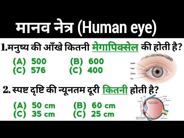 मानव नेत्र | Human eye | science gk | biology gk | Police, CGL, MTS, Railway, UPSC, PCS, All Exam