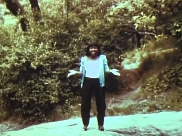 Stephanie Mills - Never Knew Love Like This Before