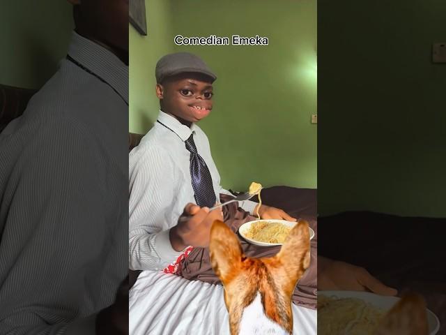 Poor Dog