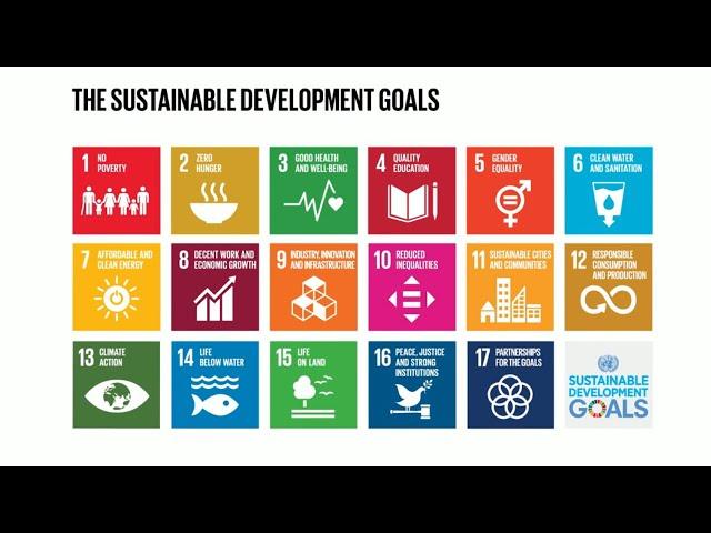 Do you know all 17 SDGs?