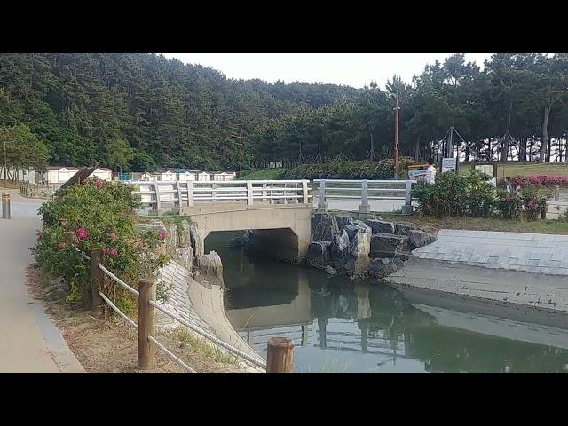 부산 다대포 해솔공원 Busan Dadaepo Haesol Park
