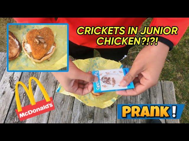 Nasty Crickets in JR CHICKEN Prank!