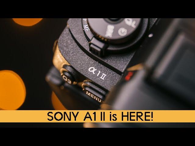 Sony A1II - First Impressions