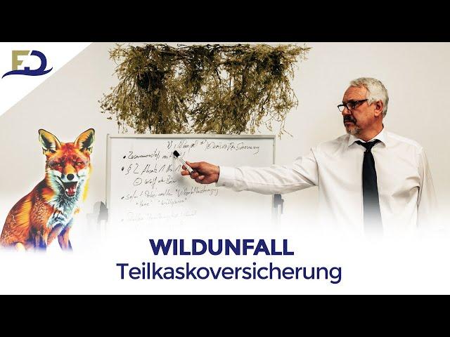 Wildunfall - Teilkaskoversicherung