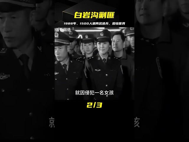1988年的白巖溝剿匪，為了抓捕兩名逃兵出動1500多名軍警震驚世界 #案件 #探案 #懸案 #懸疑 #案件解說
