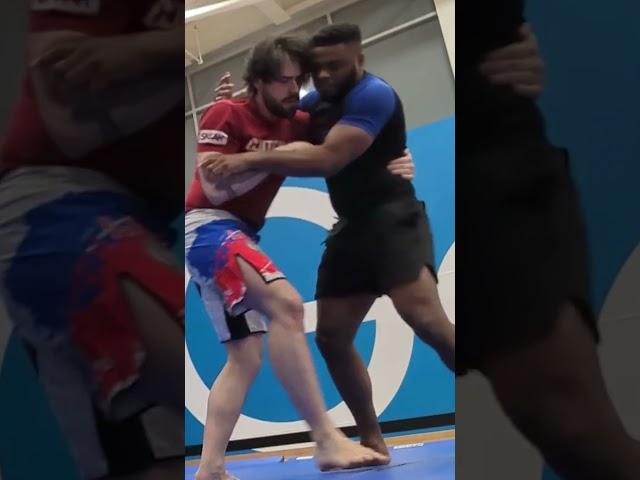 I Entered A Brazilian Jiu-Jitsu Tournament On 1 Weeks Notice #grappling #MartialArts #UFC #mma