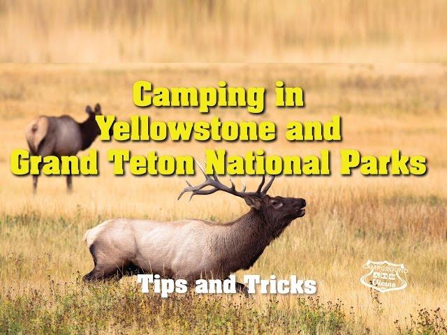 Yellowstone Camping - Campgrounds and RV Parks