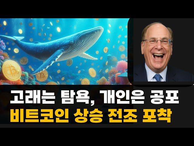 비트코인 고래 매집은 상승 전조